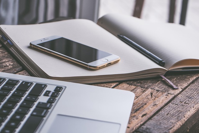 Employee Device Misuse Investigation